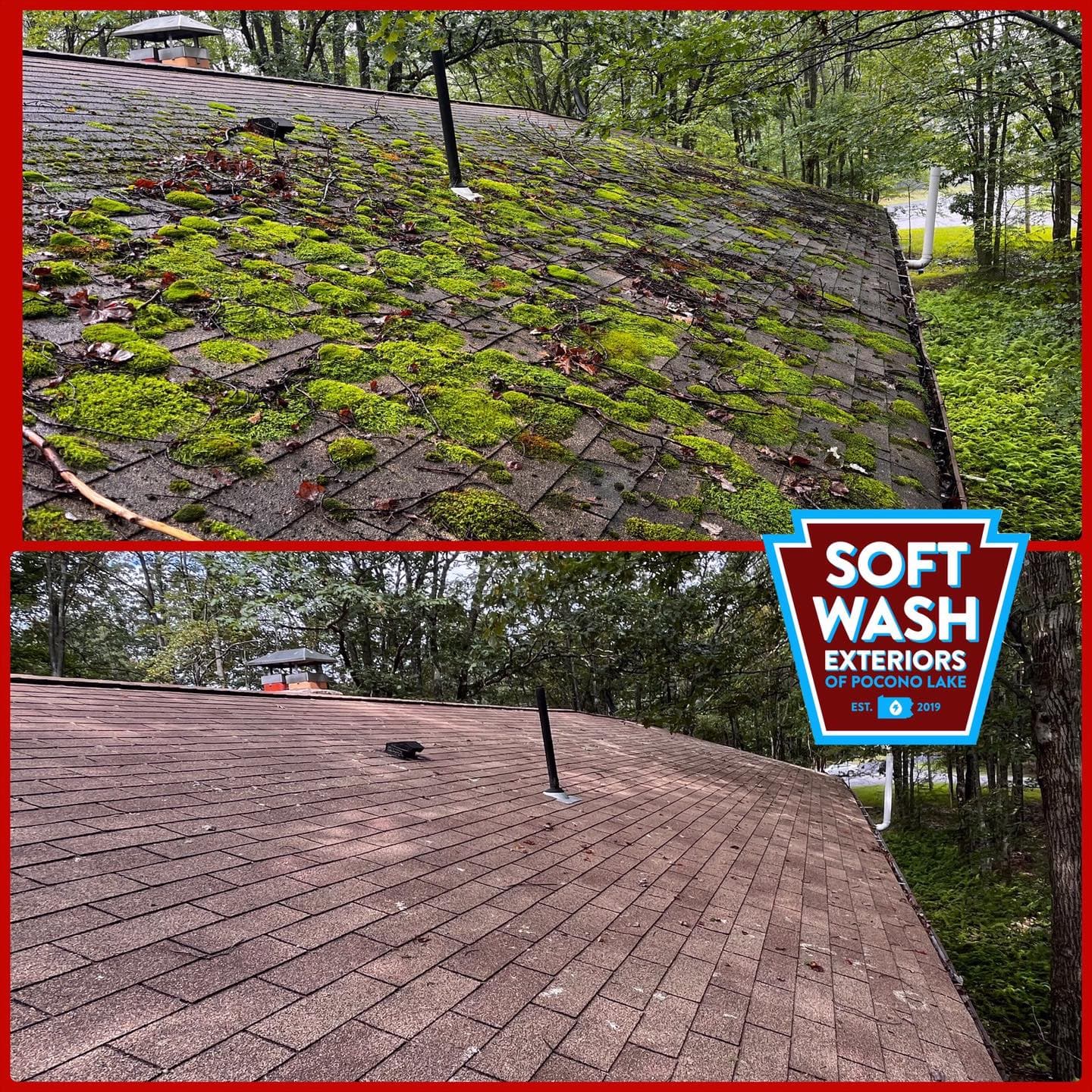 Roof soft wash — heavy moss removal