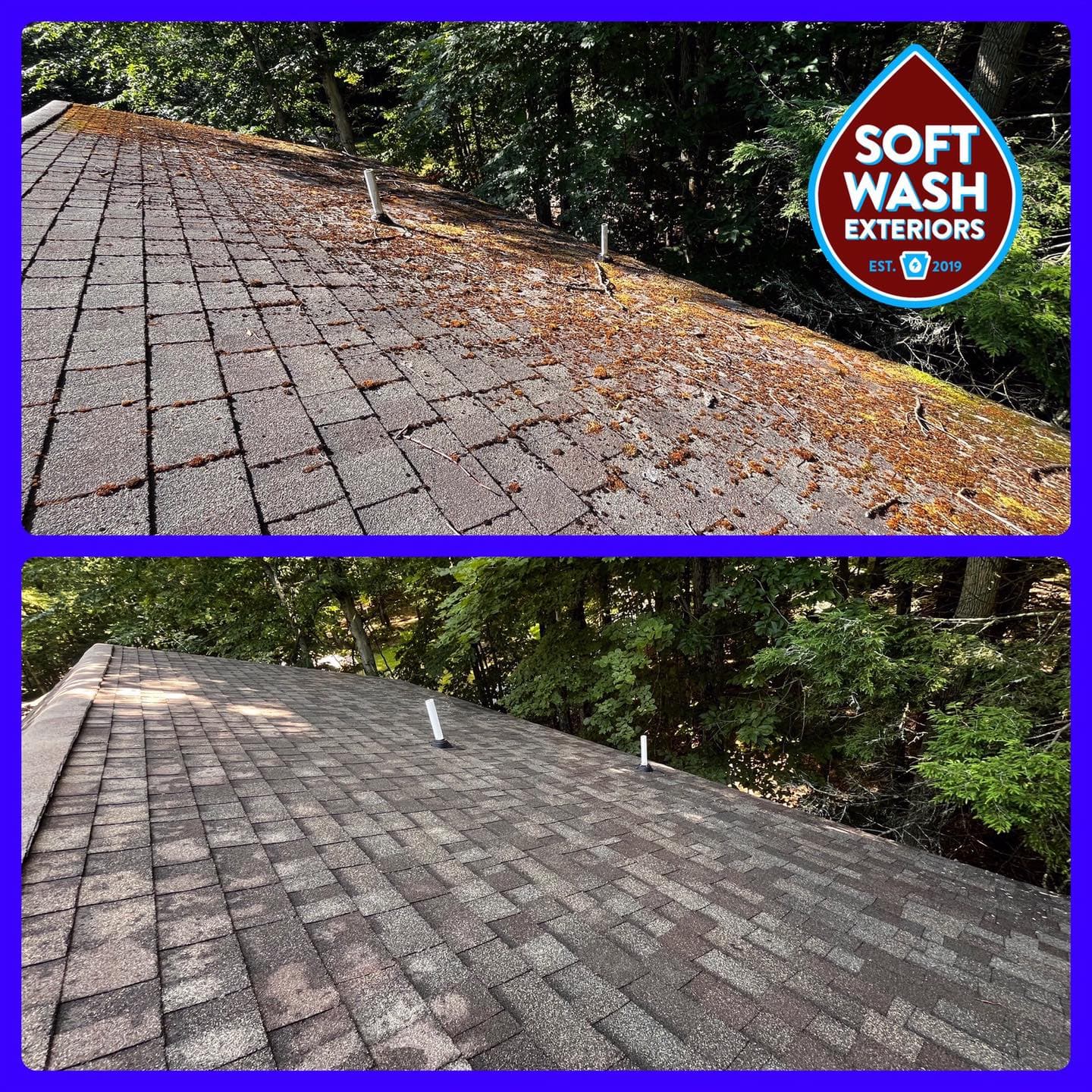 Roof lichen before/after