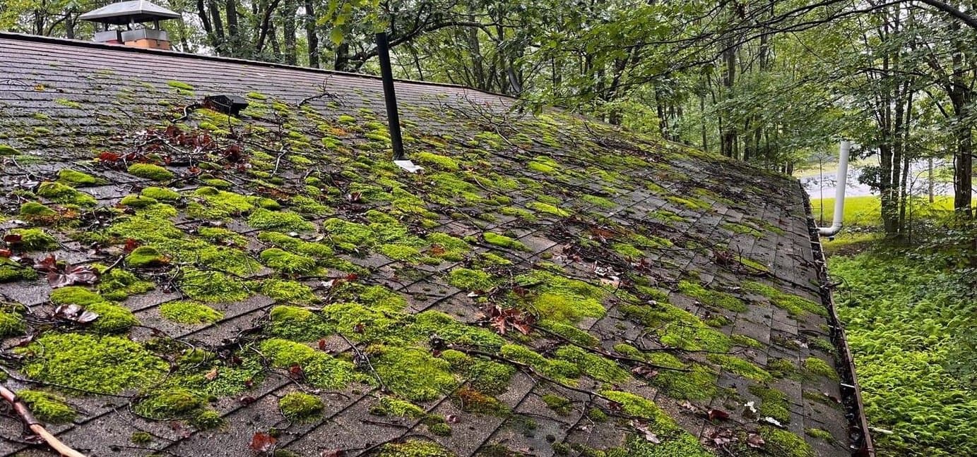 Before — Moss-covered shingle roof in Pocono Lake, soft washed clean