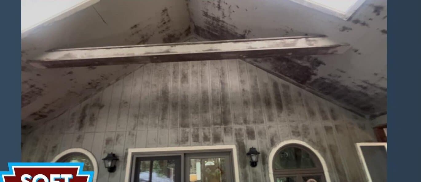 Before — Screened-porch ceiling black mold removed with a soft wash